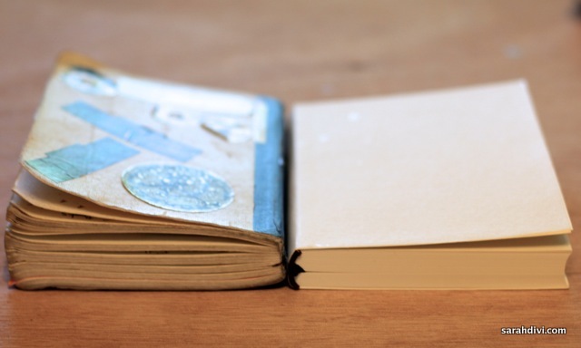 Sketchbooks: New & Old - Sarah Divi