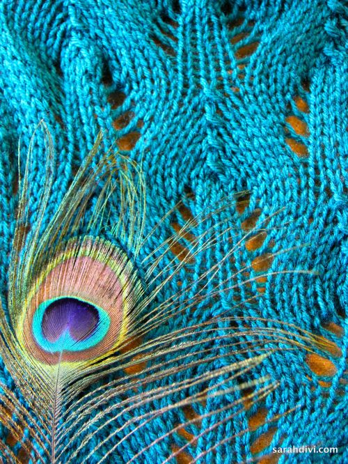 Peacock Plumage Scarf Knit Pattern | sarahdivi.com